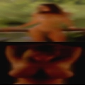 Pussy